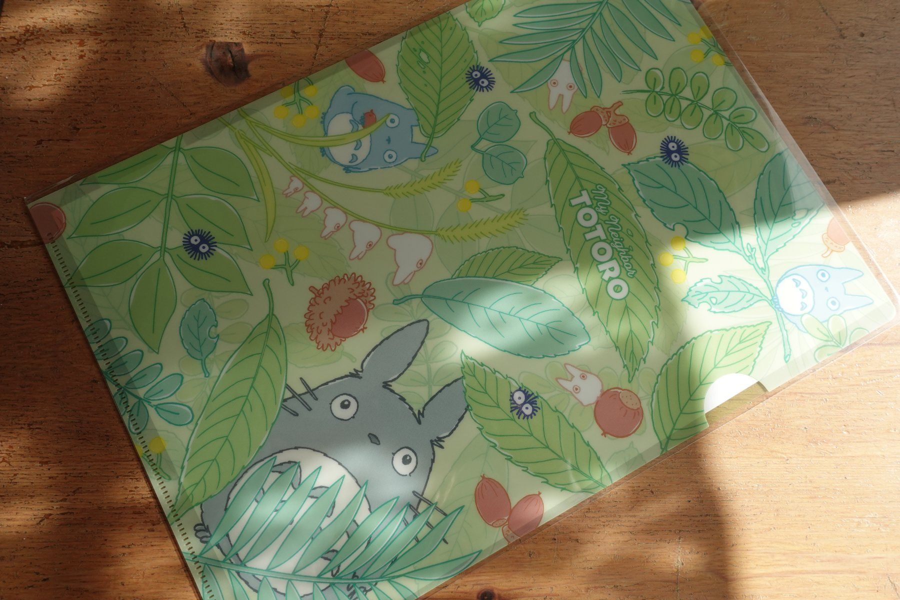 Valigie & Borse: Ghibli Totoro - Clear File Mäppli – Nuovo (secondo la descrizione) da Ettiswil venduto da maimaiswiss
