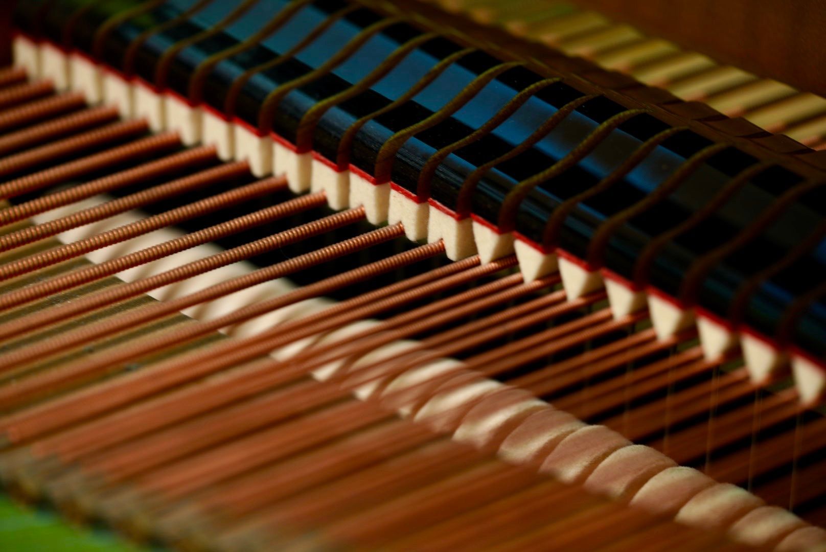 Instruments de musique: Flügel C.Bechstein B-203 – D'occasion à Spiez par eni_lvq7 3