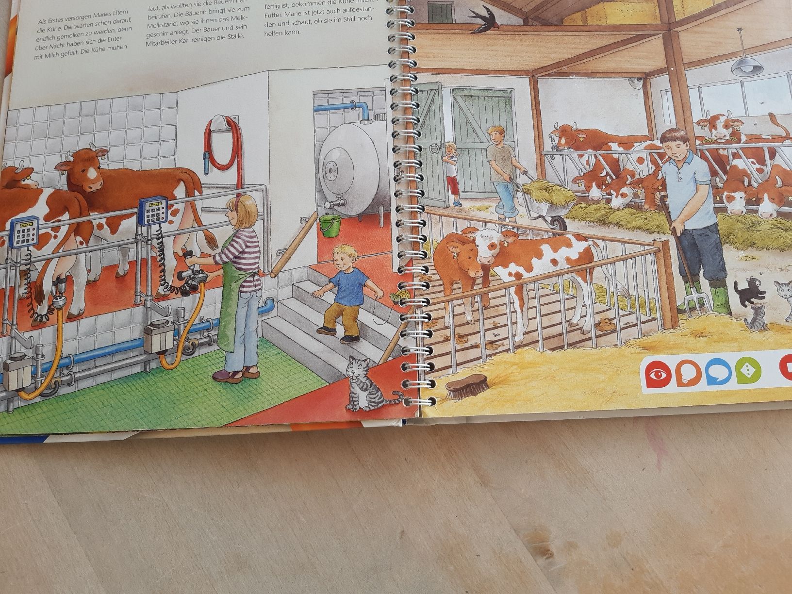 Bücher: Kinderbuch: Entdecke den Bauernhof – Gebraucht aus Spiegel b. Bern von hopplas 2