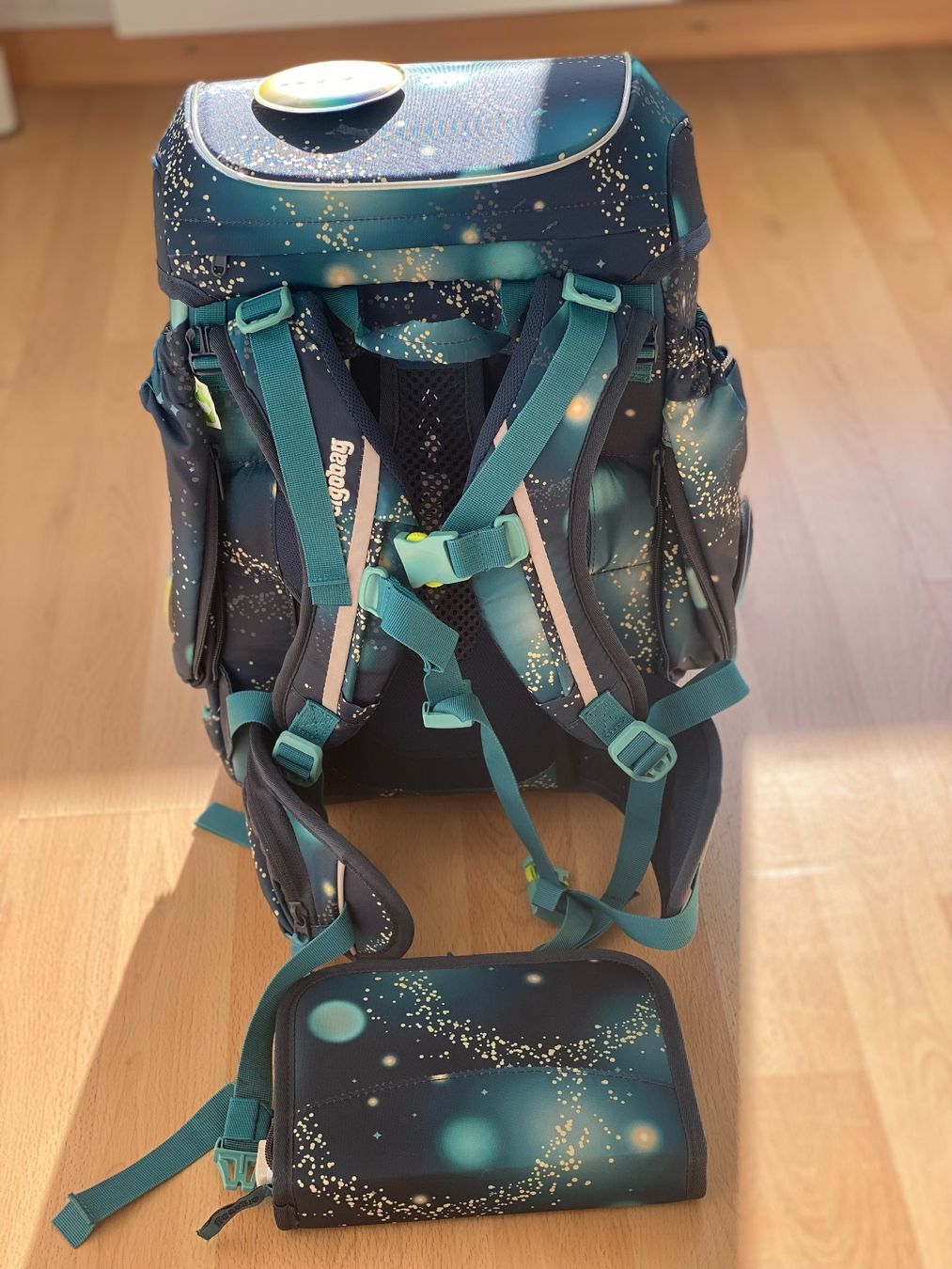 Ergobag Borse & Zaini: Ergobag Schulrucksack – Nuovo (secondo la descrizione) da Gümligen venduto da Keynet 1
