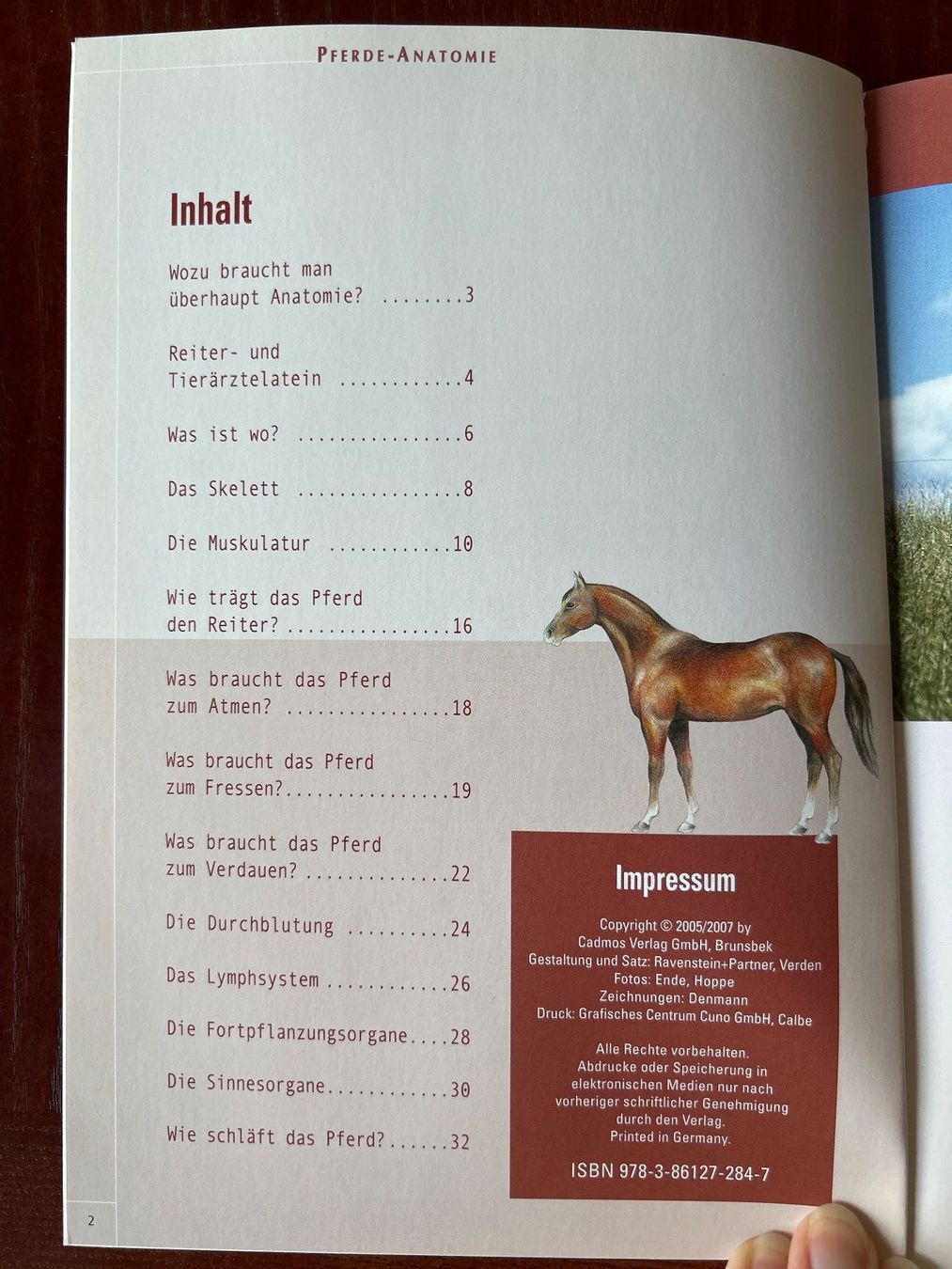 Libri: Pferde-Anatomie von Anke Rüsbüldt – Usato da Benglen venduto da silversun79 2