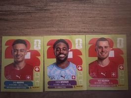 Panini WM Schweizer Nazi 2026