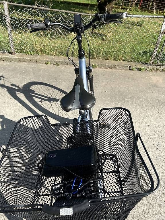 Flyer Biciclette: E-BIKE  / FLYER  / 25 km /h – Usato da Luzern venduto da Satbere 3