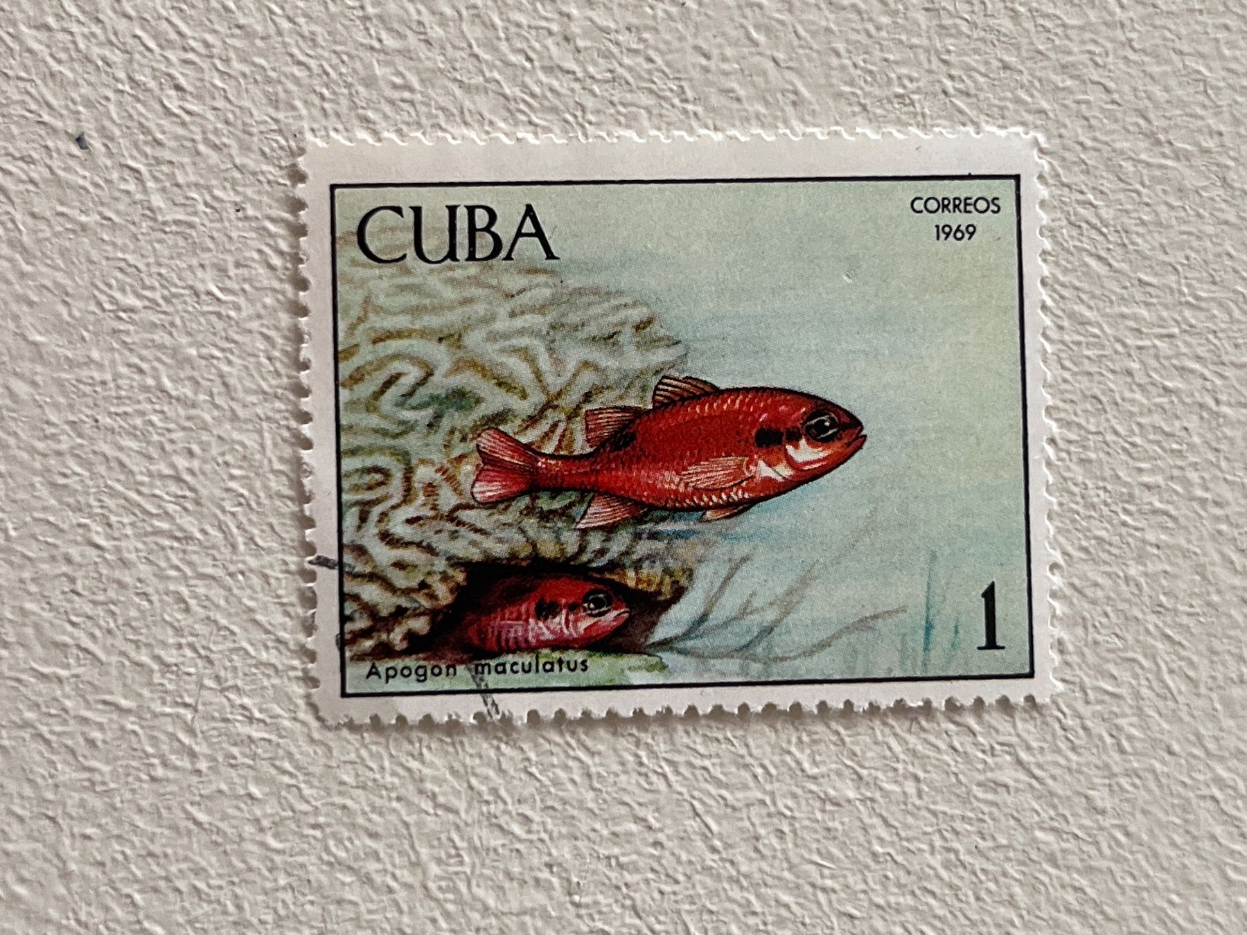 Tutti i francobolli: Cuba Briefmarke ab 1 CHF ! – Usato da Chiasso venduto da AzenYa