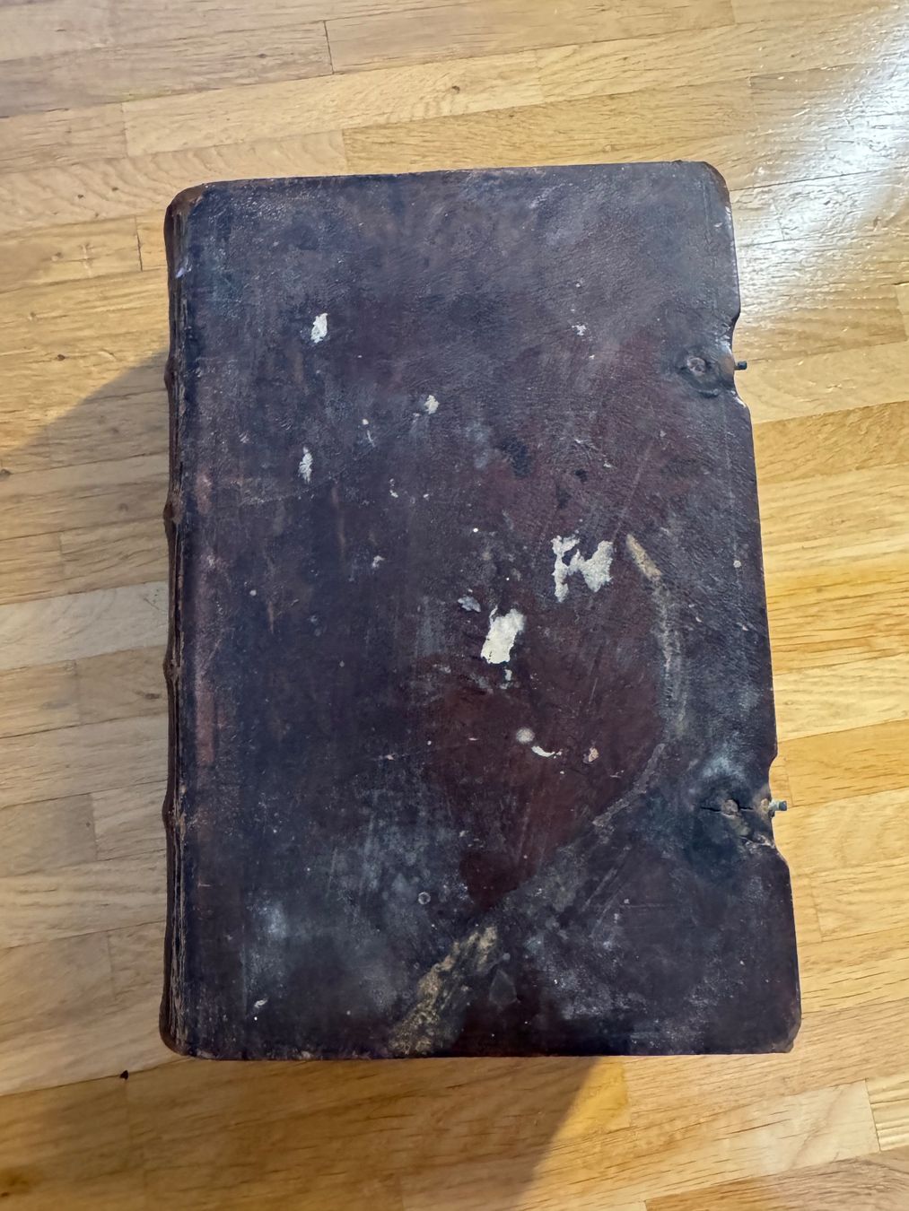 Libri: Bibel 1848 – Usato da Kestenholz venduto da cvx_889vv