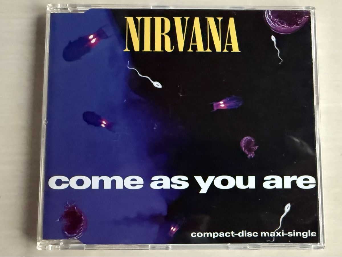 CD: Nirvana Singles Box Set CD 6 Singles  – Usato da Oberried Brienz venduto da Chyara 7