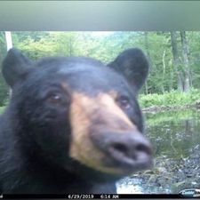 Profile image of leo_zrd8