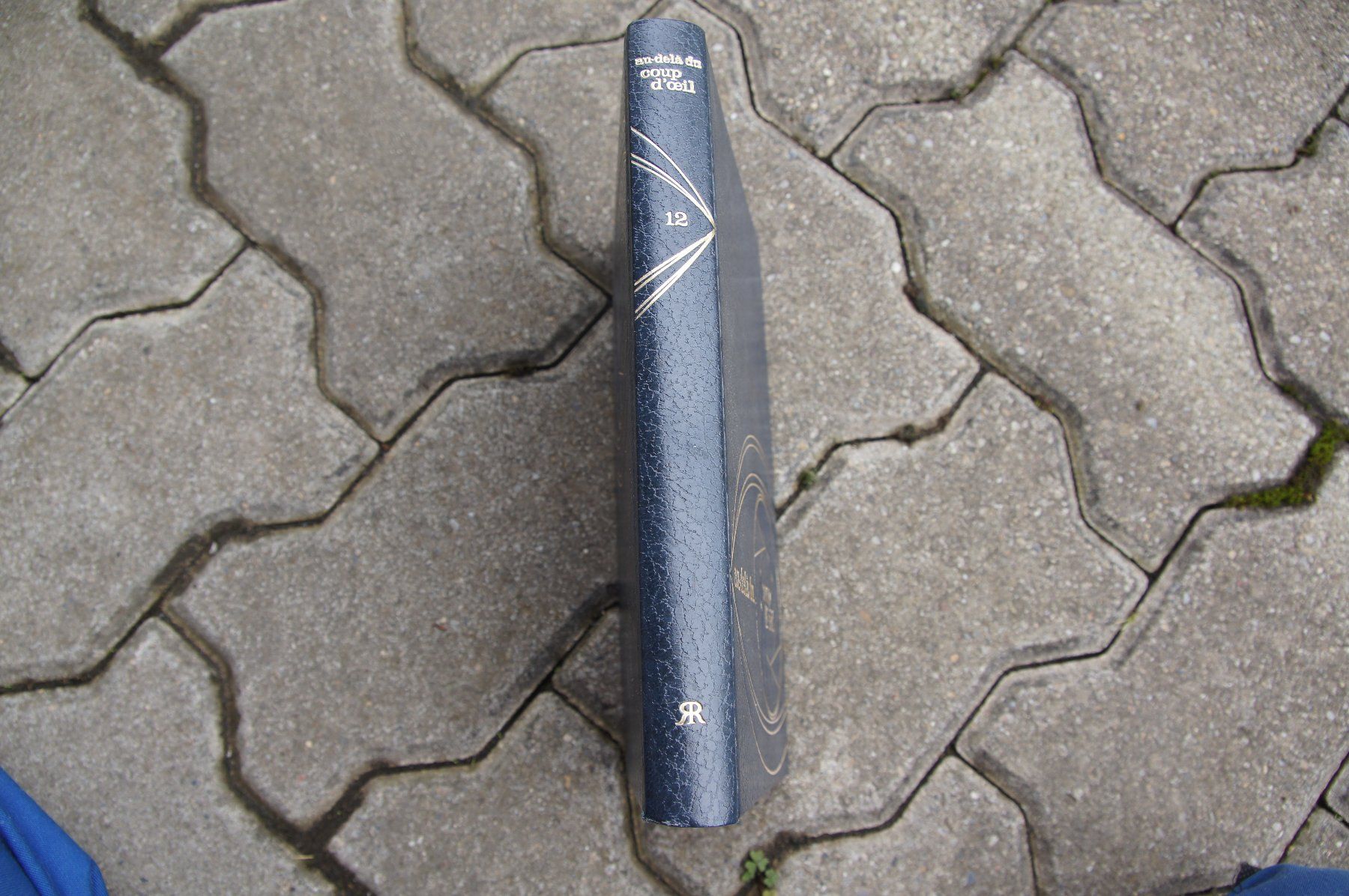 Bücher: Au-dela du coup d'Oeil – Gebraucht aus Sierre von Erjou 1