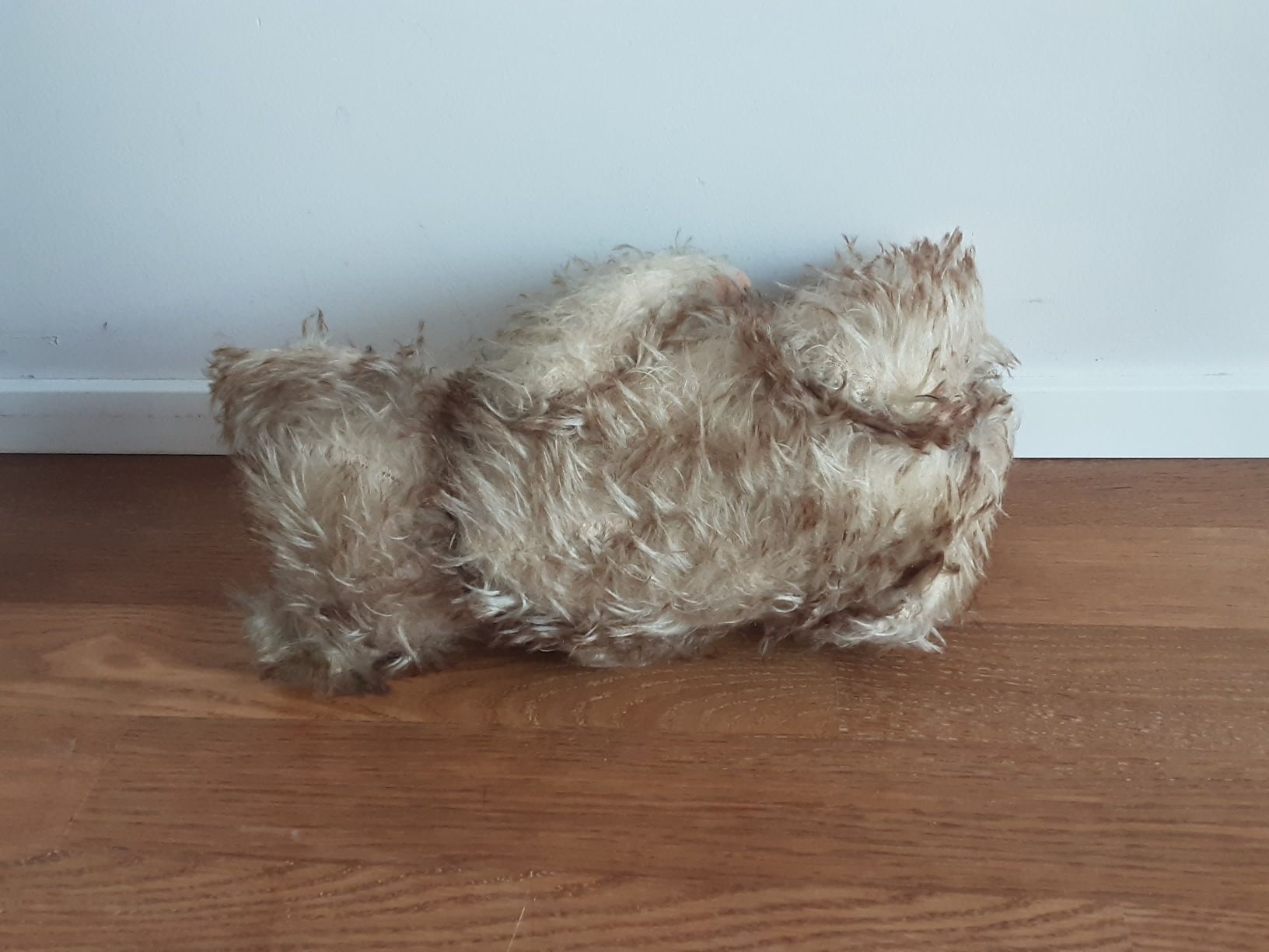 Spielzeuge: Antiker Teddybär Plüschtier beige  – Gebraucht aus Root von andalus01 4