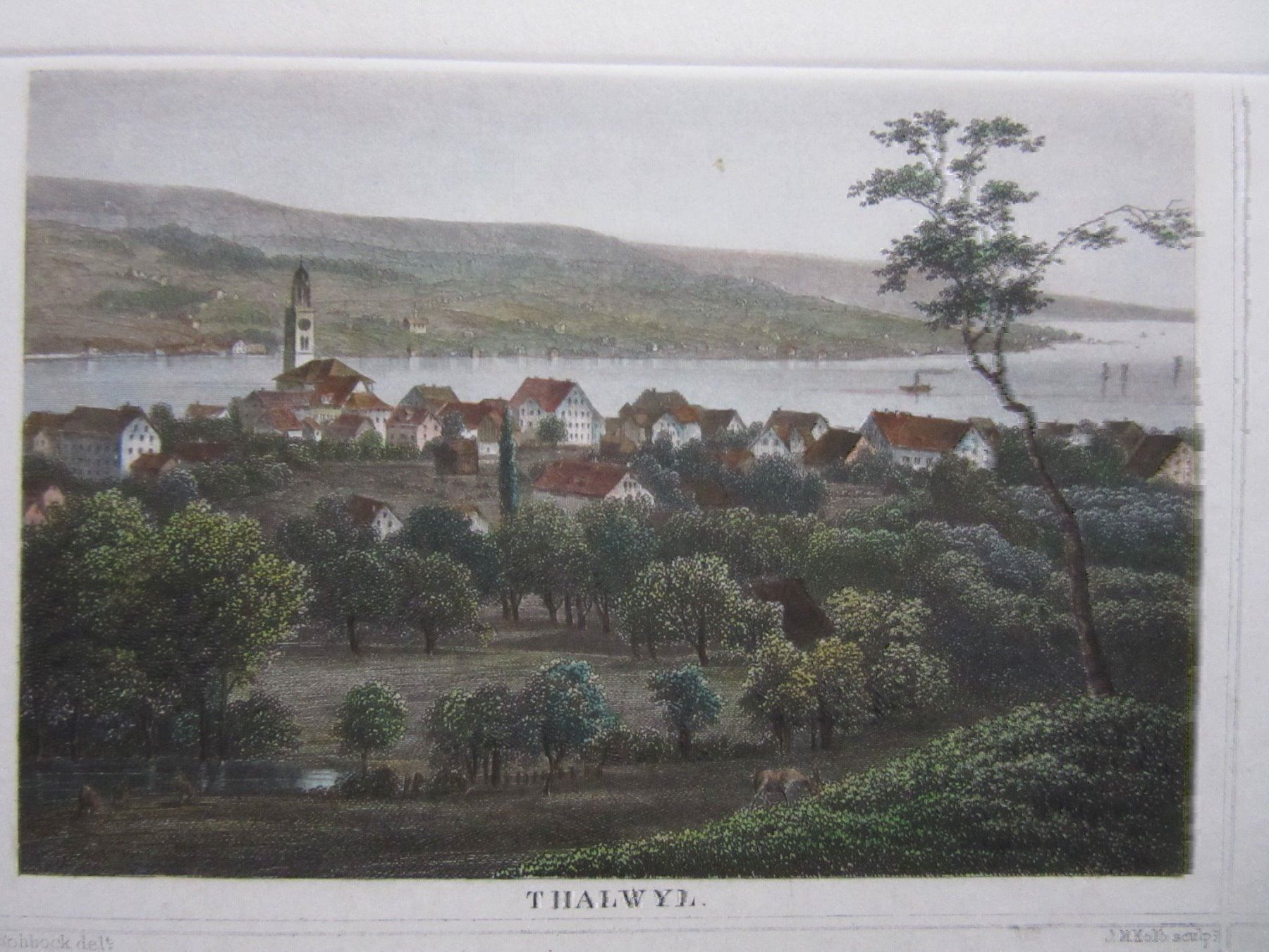 Incisioni: THALWIL STAHLSTICH KOLORIERT – Usato da Gersau venduto da grafik-kunst