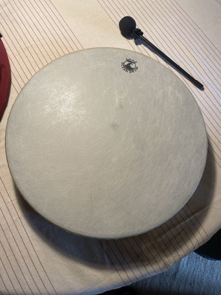 Strumenti musicali: Remo oceandrum – Usato da Sta. Maria V. M. venduto da perpeline