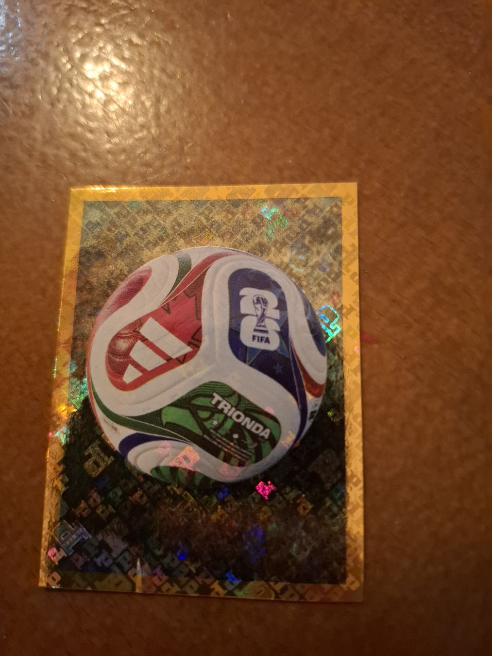 Panini Cartes à collectionner: Paninibild FWC 5 – D'occasion à Auw par jea.12