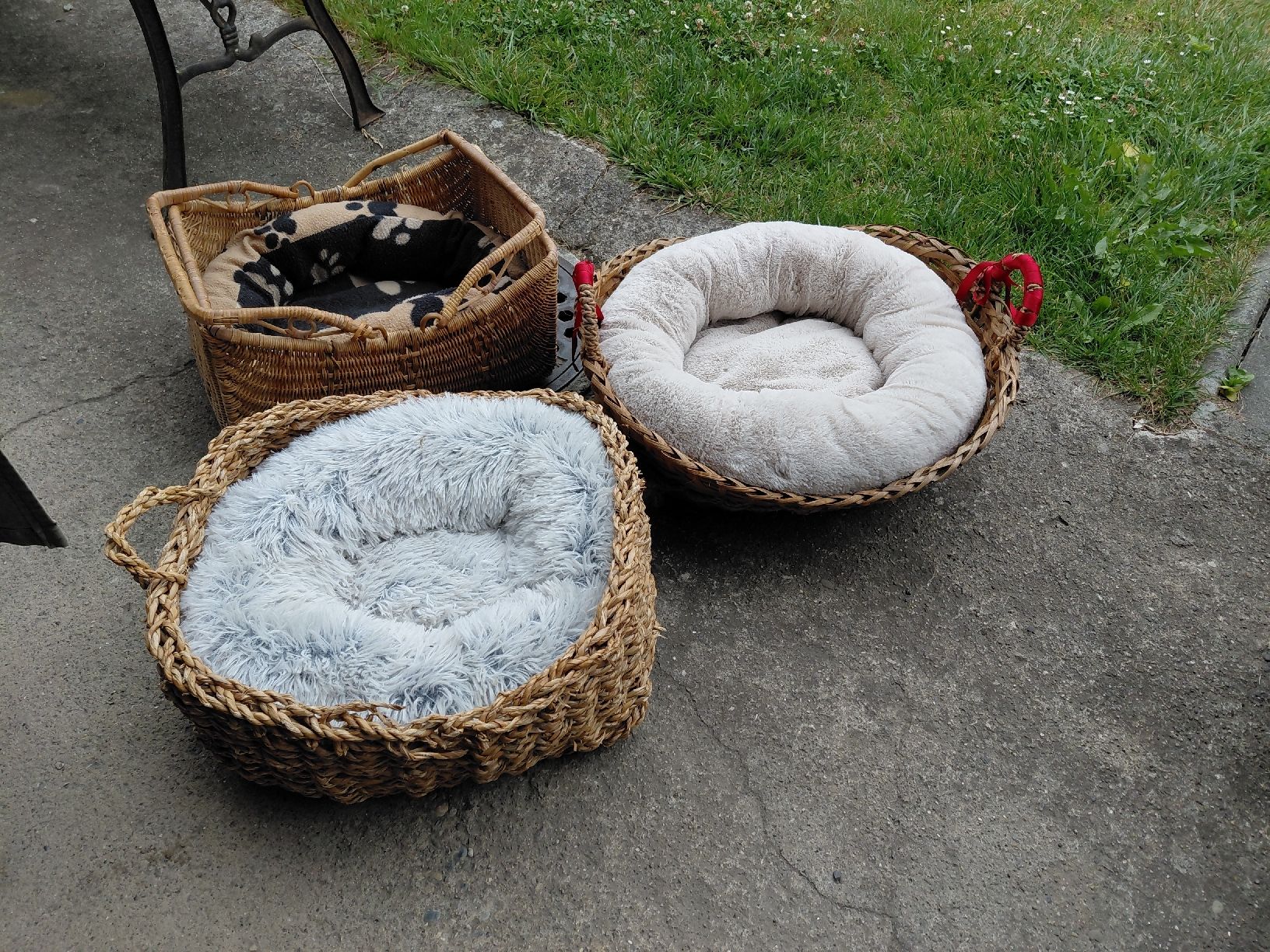 Cucce & Letti: 3 Hunde Katzenchörbli – Usato da zuchwil venduto da parson65