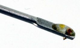 PHILIPS GP 229 Stylus