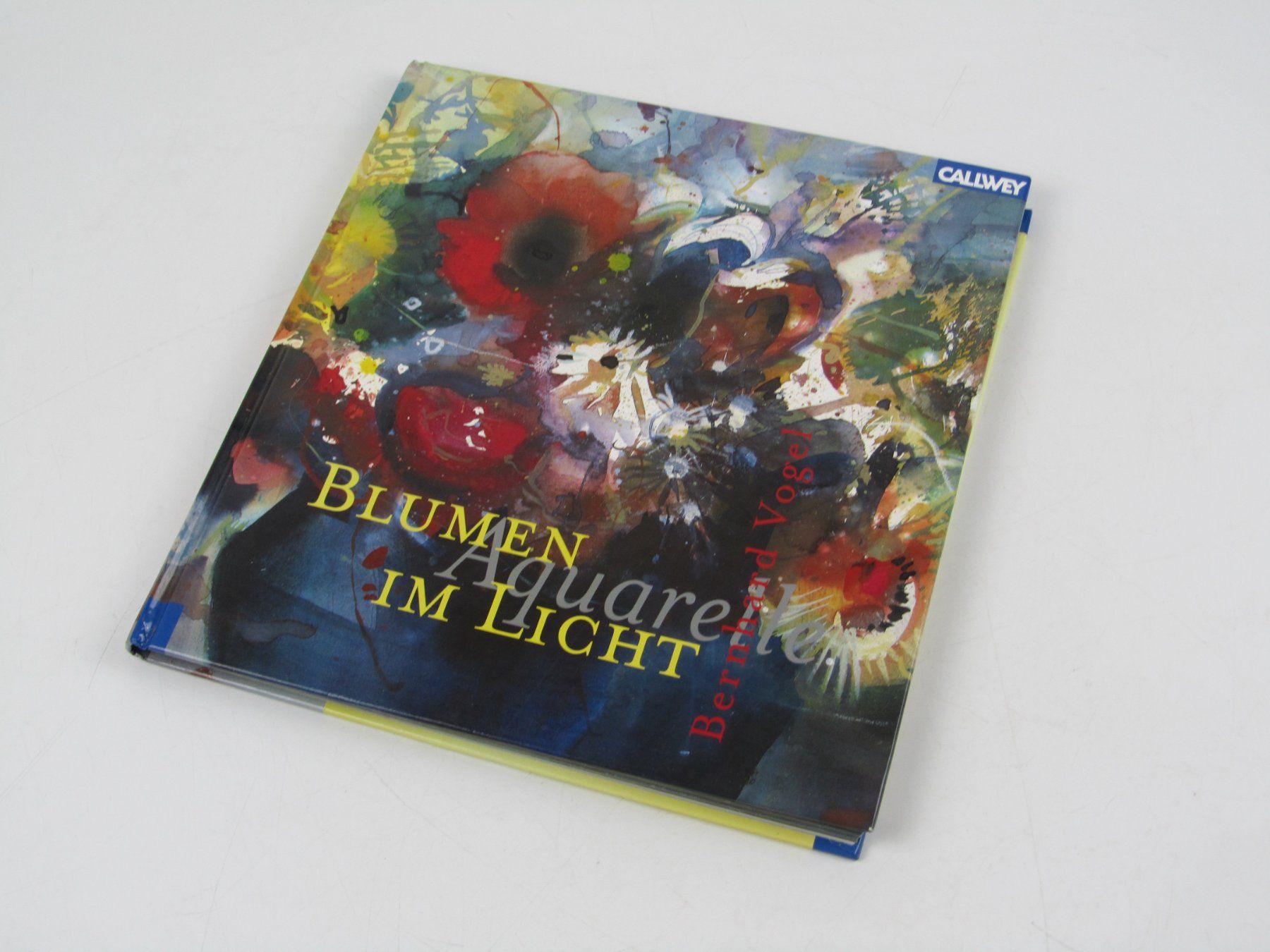 Libri: Blumen Aquarelle im Licht - Bernhard Vogel – Usato da Muhen venduto da Restwert_Muhen