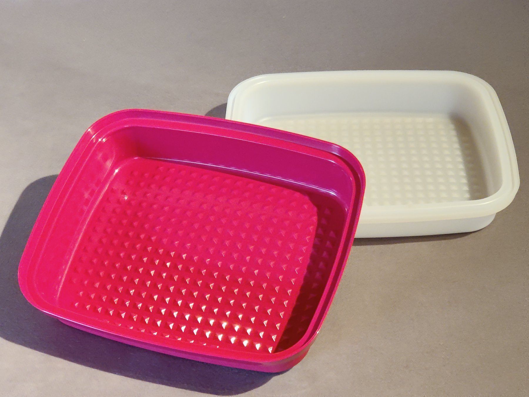 Tupperware Contenitori & Simili: Tupperware - Grosser Praktikus – Nuovo (secondo la descrizione) da Langnau am Albis venduto da rdenzel