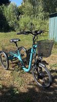 Tricycle électrique 