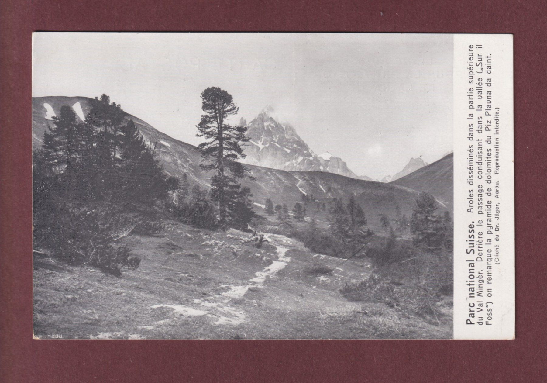 Ansichtskarten: Parc national - GRISONS - Val Minger – Gebraucht aus Pully von nicecards