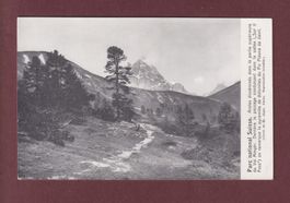 Parc national - GRISONS - Val Minger