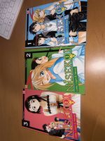 Nisekoi Manga Band 1-3