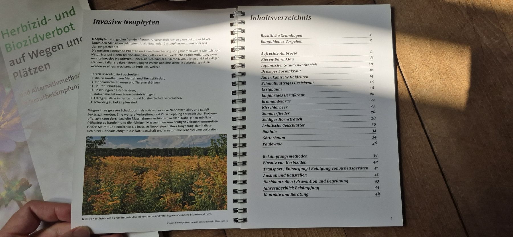 Livres: Praxishilfe Neophyten – Neuf (Voir description) à Luzern par 365mal 1