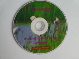 Flamingos & andere Tiere in der Camargue