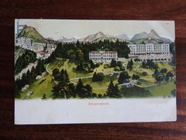 Bürgenstock, schöne AK !