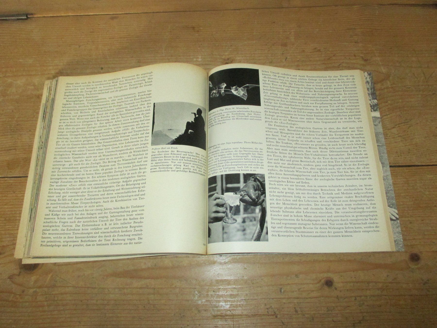 Libri: Der Mensch mit den Tieren, 1965 – Usato da Flims - Dorf venduto da Stagediver 8