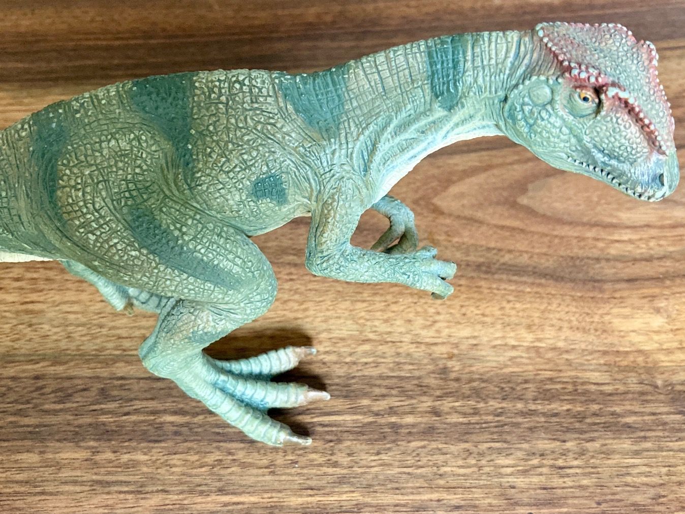 Schleich Giocattoli: Allosaurus Dinosaurier Modell / Schleich / 27cm Länge – Usato da Kreuzlingen venduto da tummetott71 3