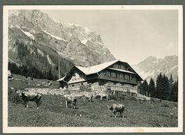  AK sw Untertrübsee OW Pension Untertrübsee ≈ 1934