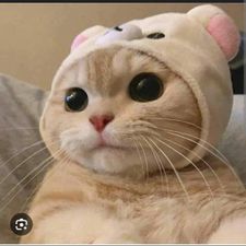 Profile image of str_5djt
