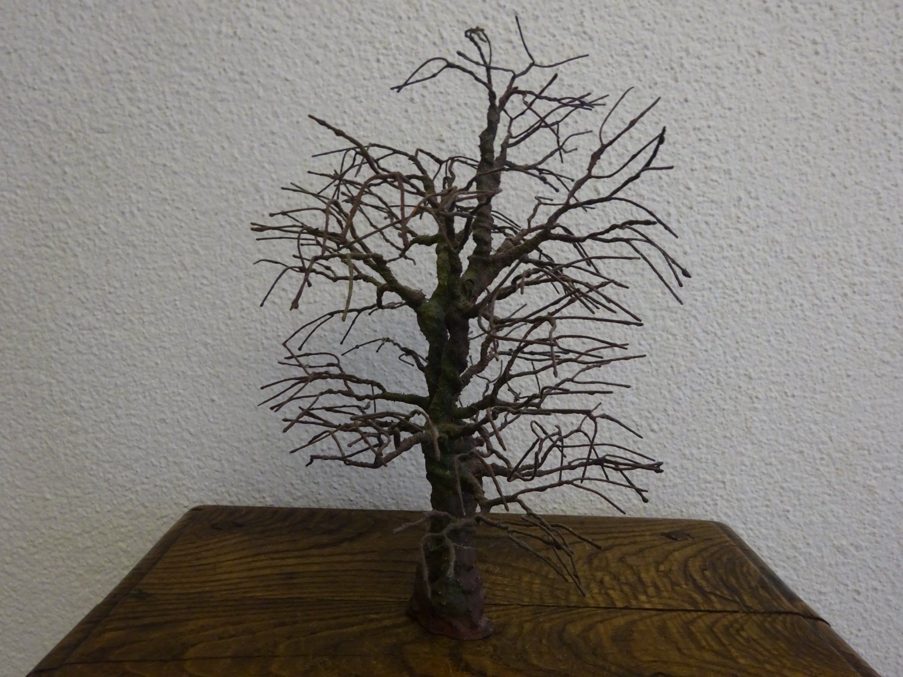 Sculture & Statue: Baum Skulptur / Peter Kunz - Zürich – Usato da Esslingen venduto da eintagammeer 3