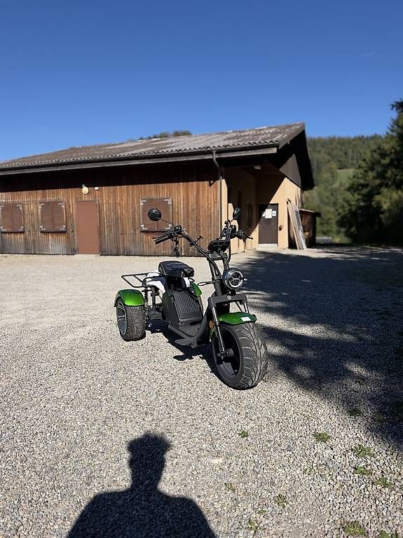 Elektromobile: Cargo Chopper 3.1 E-Roller – Gebraucht aus Oberhelfenschwil von sti_8dhq 1