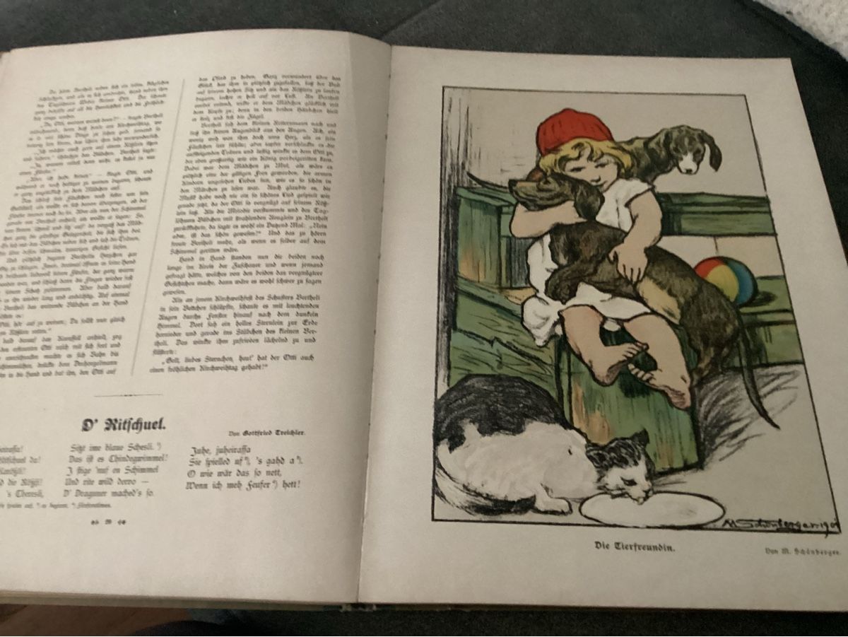 Libri: ANTIKES KINDERBUCH UM 1910 – Usato da Münchenstein venduto da NoSu98 3