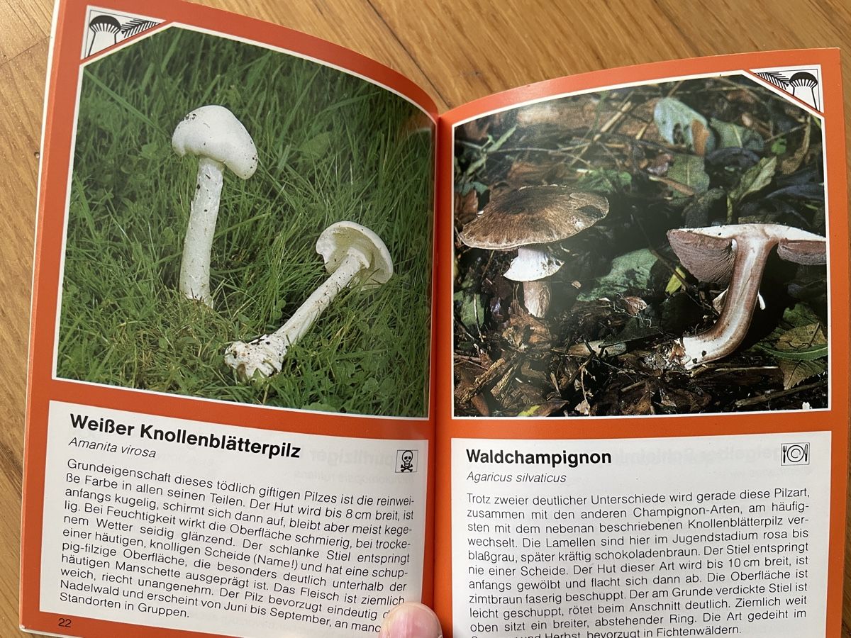 Bücher: Pilze - Zwei Bücher – Gebraucht aus Zürich von silab69 5