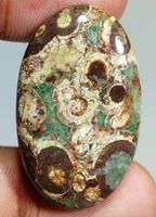 Cabochon L-8596 – Krokodil Jaspis 37X23X6mm 43 Karat