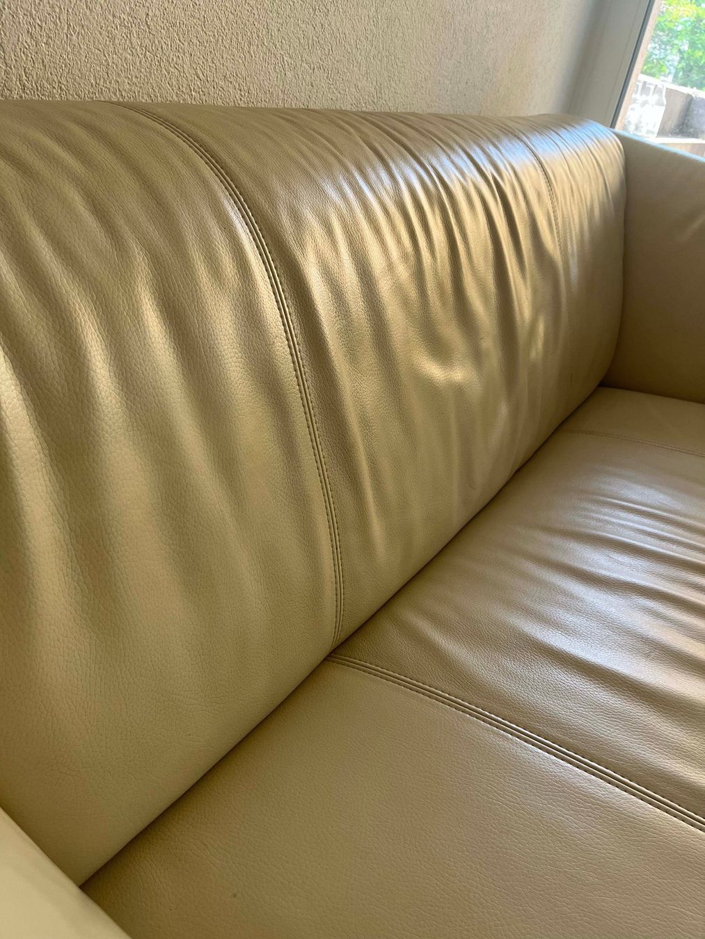 Rolf Benz Divani: Ledersofa von Rolf Benz, 2-Sitzer – Usato da Allschwil venduto da pa.die 4