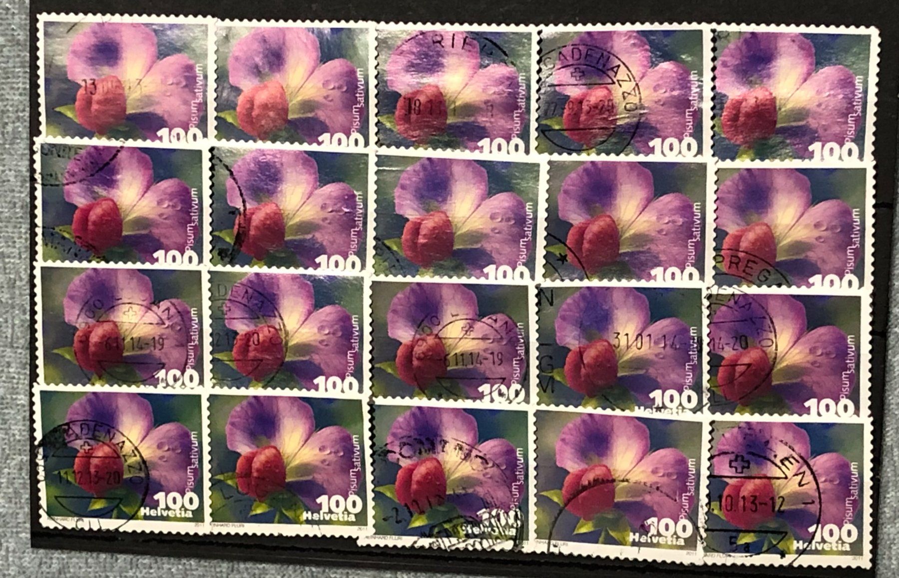 Alle Briefmarken: Nr.1377 Kiefelerbse mit Stempel 2011    – Gebraucht aus Aarau von Billa007