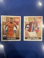 🔥❤️⚽️ HAALAND + GAKPO ❤️⚽️🔥
