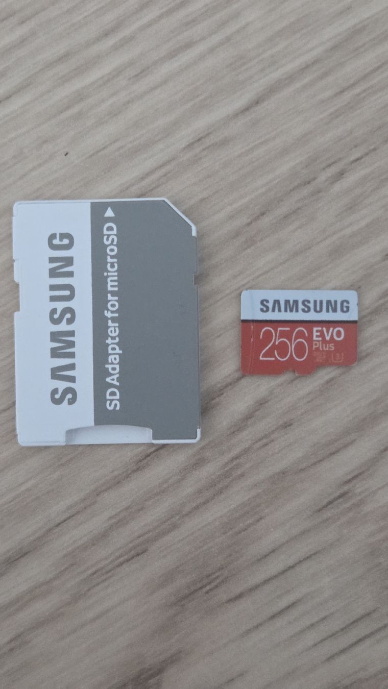 Samsung Schede di memoria: Carte Micro SD Samsung 256 Go EVO Plus  – Usato da Bramois venduto da Djoule87