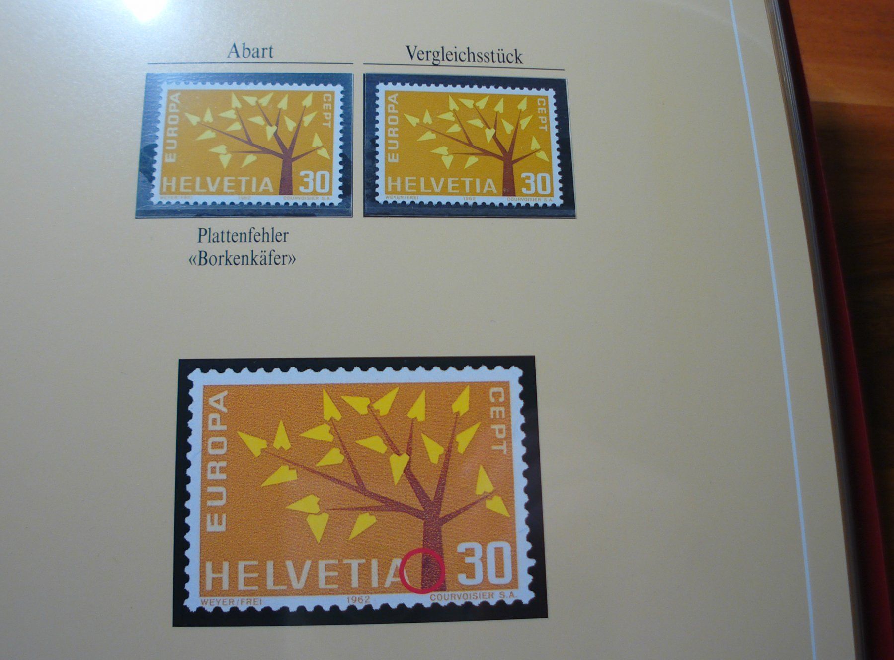 Alle Briefmarken: Abart Junger Baum 1962 **, "Borkenkäfer" – Gebraucht aus Niederwil AG von morostahu