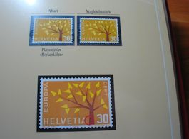 Abart Junger Baum 1962 **, "Borkenkäfer"