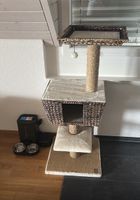 Katzenbaum