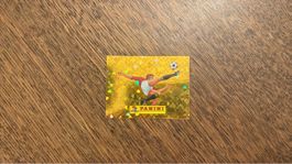 Panini Sticker Footballer Golden FIFA 2026 00 