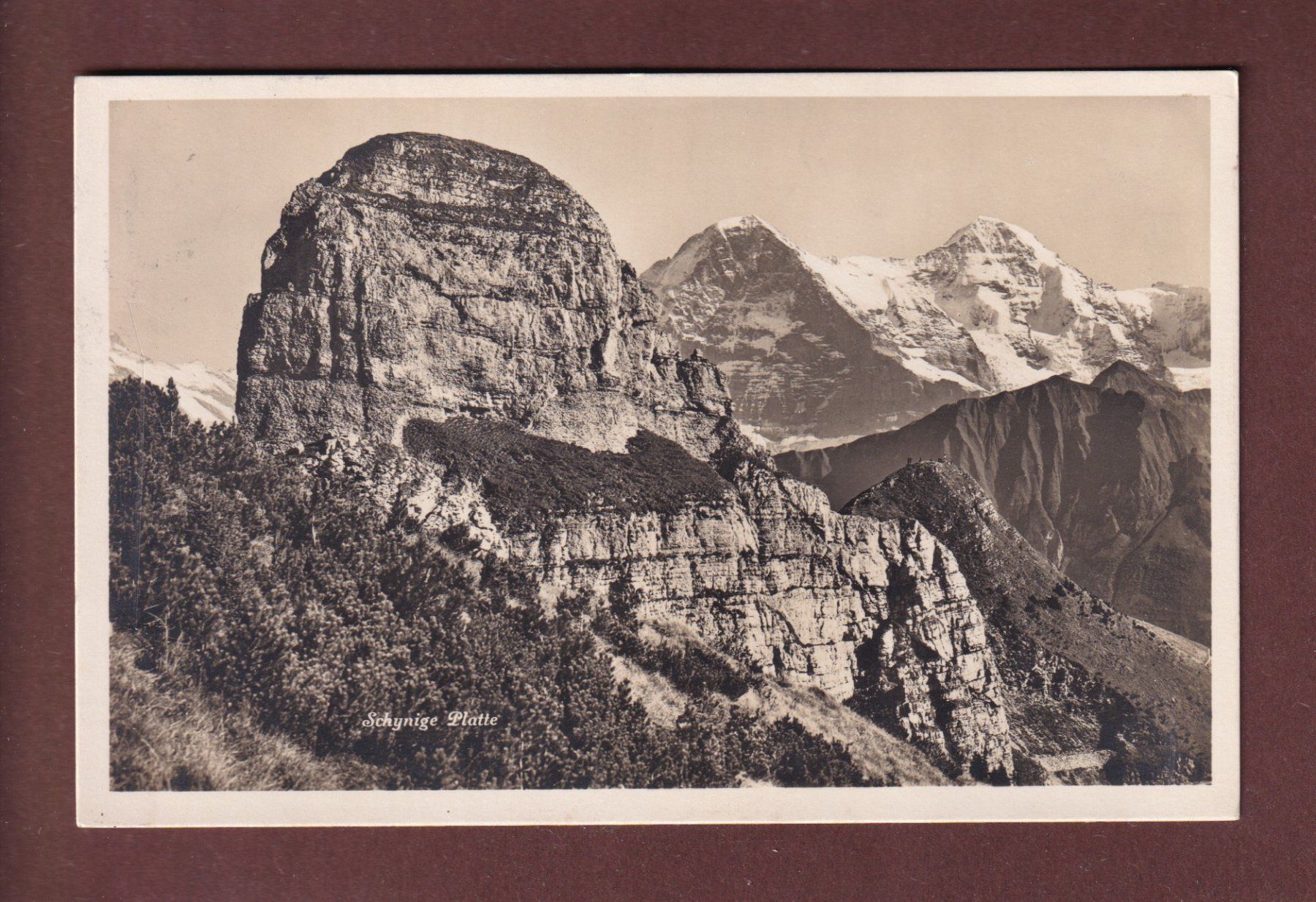 Ansichtskarten: SCHYNIGE PLATTE - 1936 – Gebraucht aus Pully von nicecards-shop