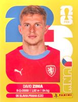 Carte FIFA World Cup 2026 CZE 8