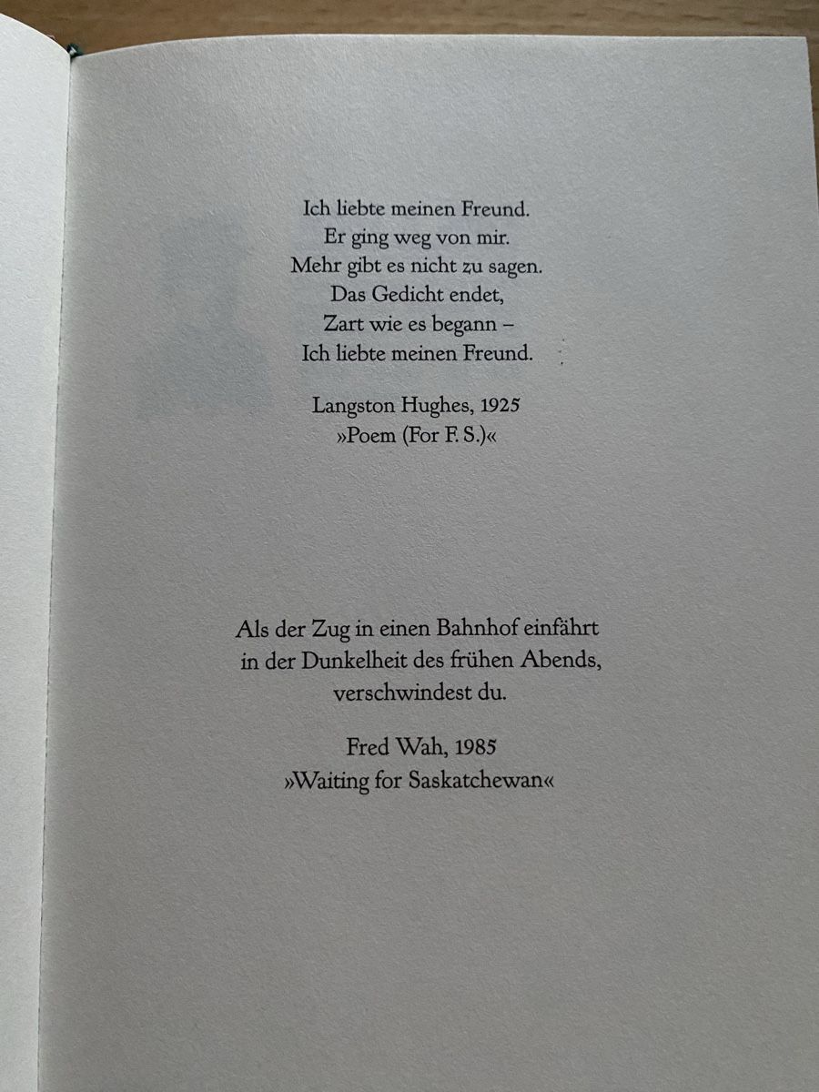 Bücher: Der Schlafwagendiener - Suzette Mayr – Gebraucht aus Schwarzenburg von Michellu 4