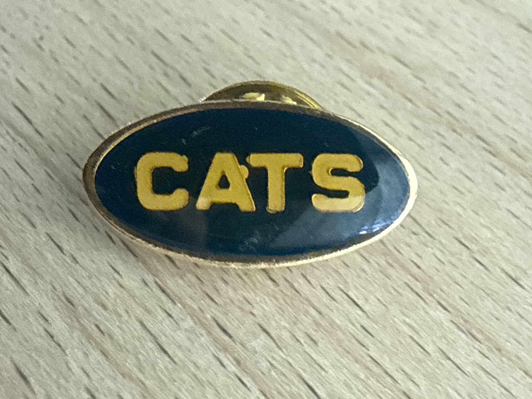Plaketten & Abzeichen: Pin Cats – Gebraucht aus Glattbrugg von Schweigmatt
