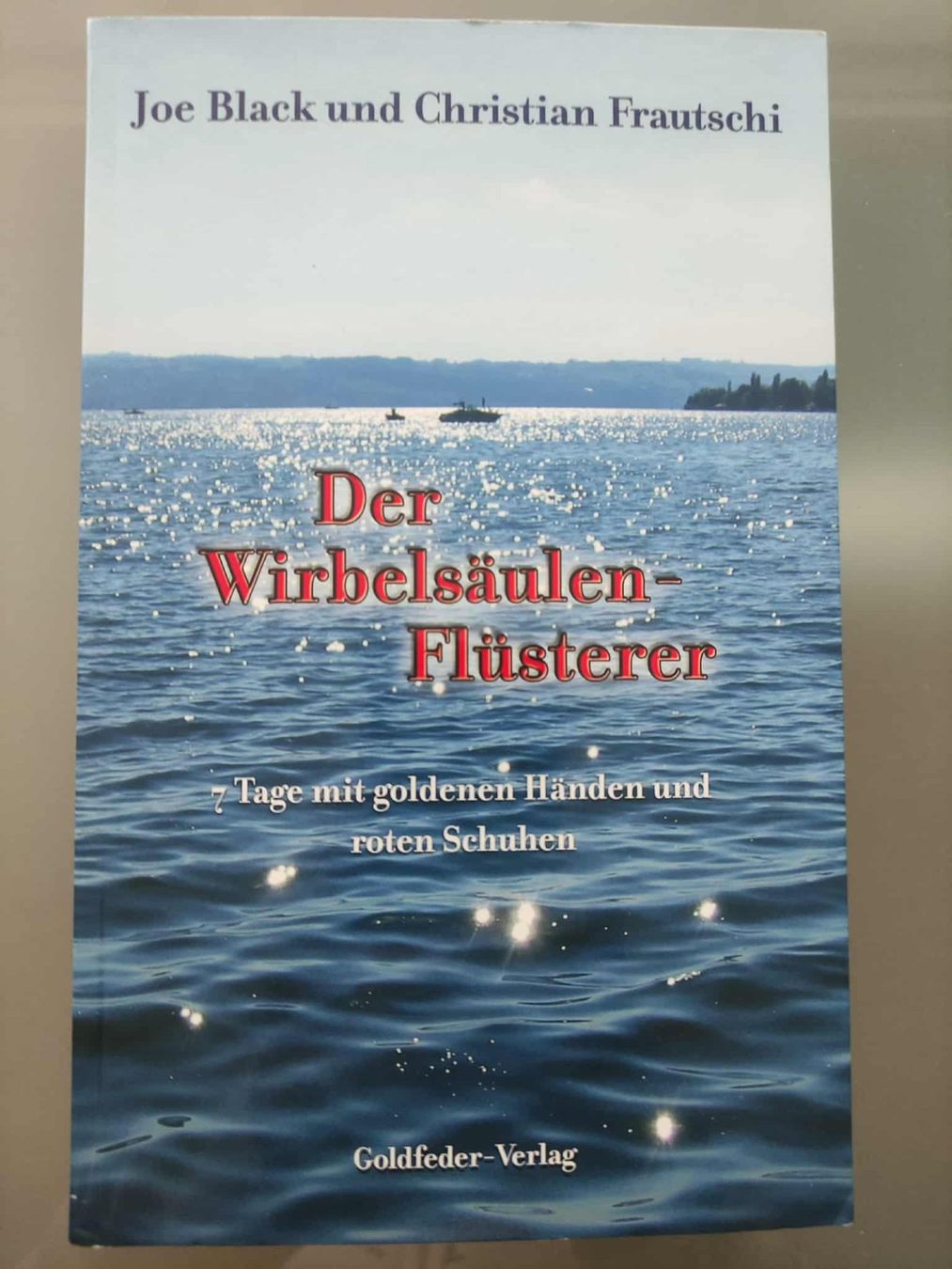 Die Wirbelsäulen Flüsterer von Christian Frautschi und Joe B (Gebraucht