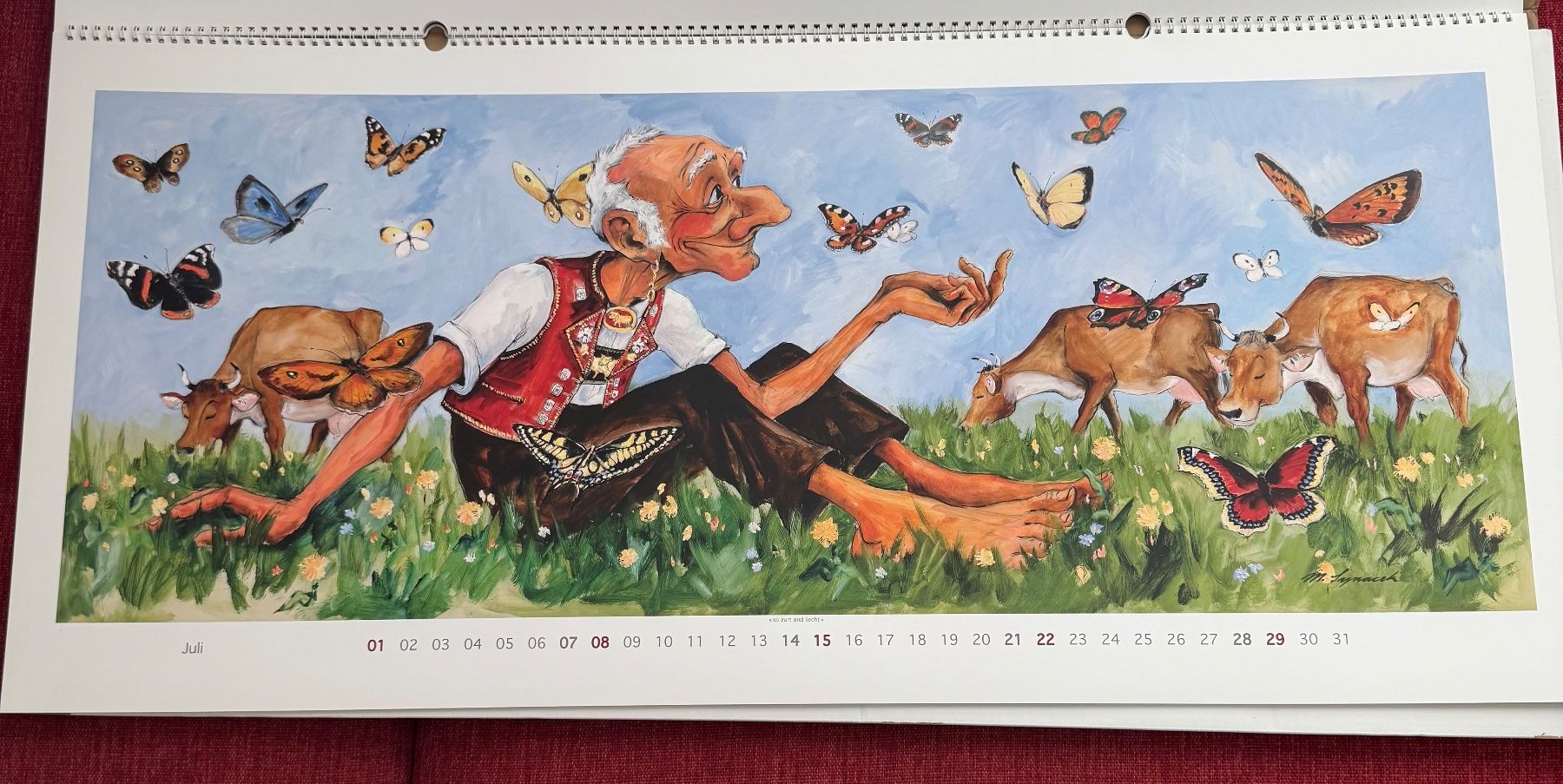 Kalender: Kalender Martin Synacek 2012 Appenzell – Gebraucht aus Riehen von ekc_ymy2 7